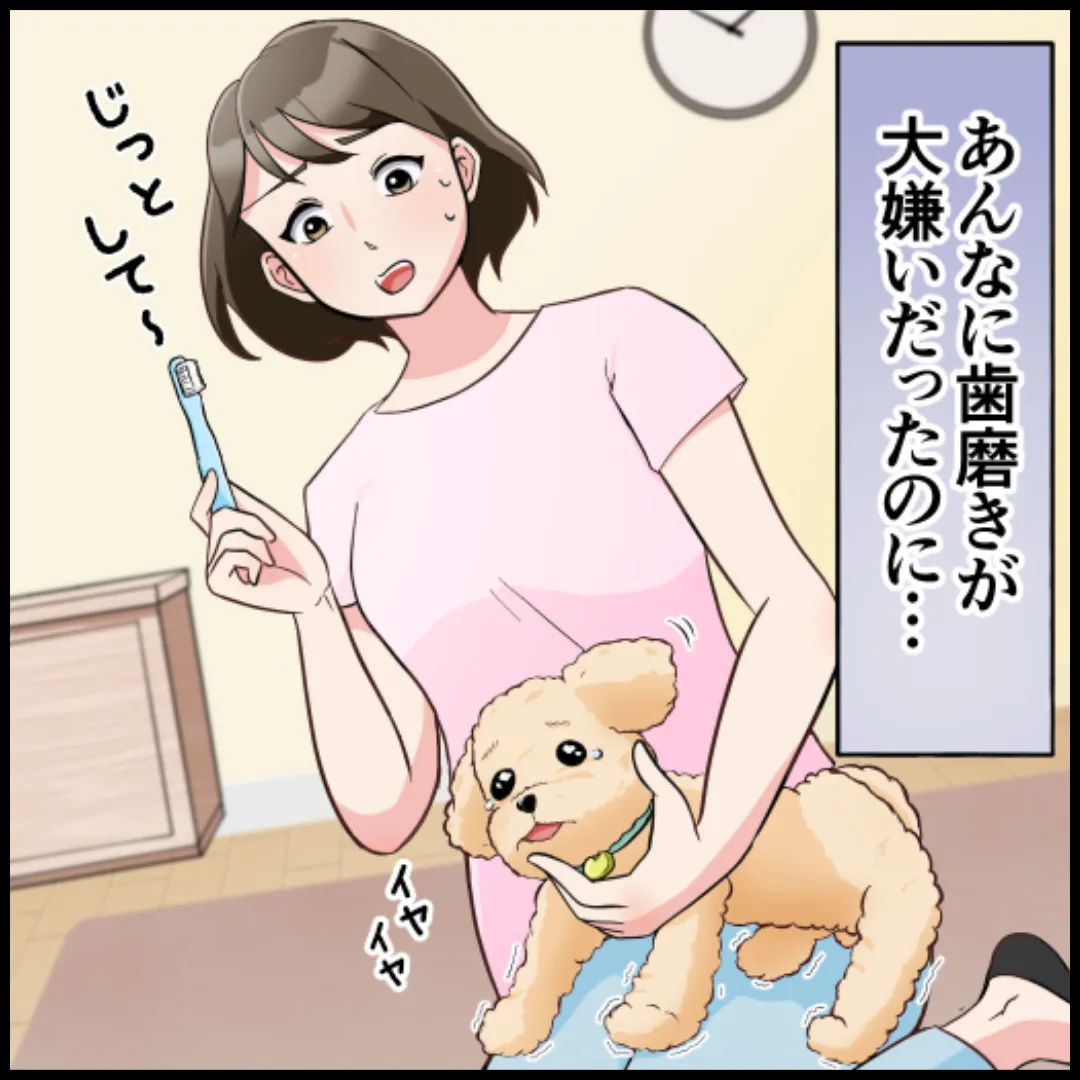 ペット制作事例
