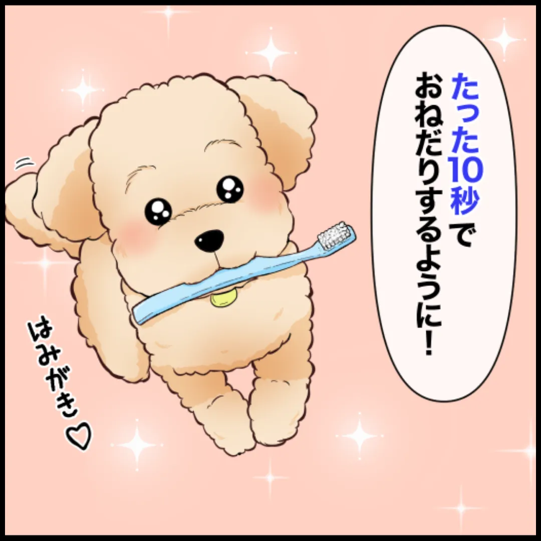 ペット制作事例